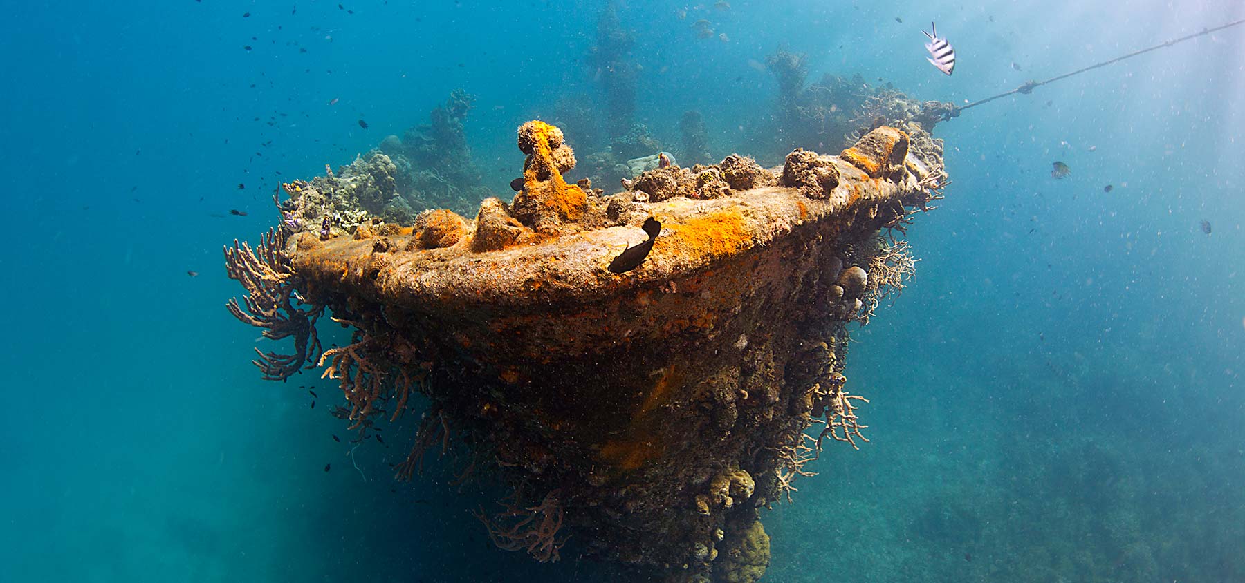 Historic sunken ship of Coron