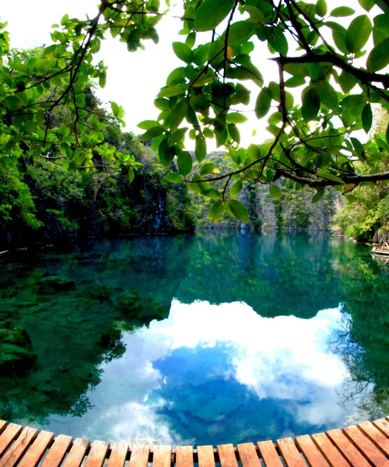 Kayangan Lake Coron Island Ecotours