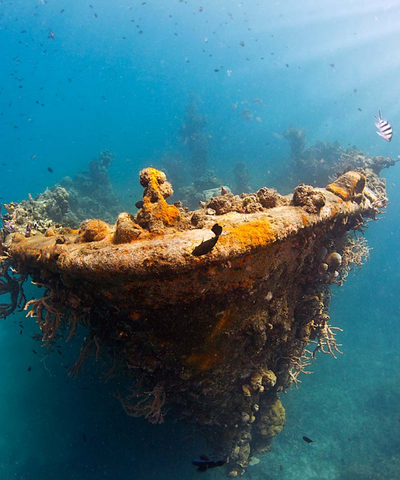 Coron Reefs and Wrecks