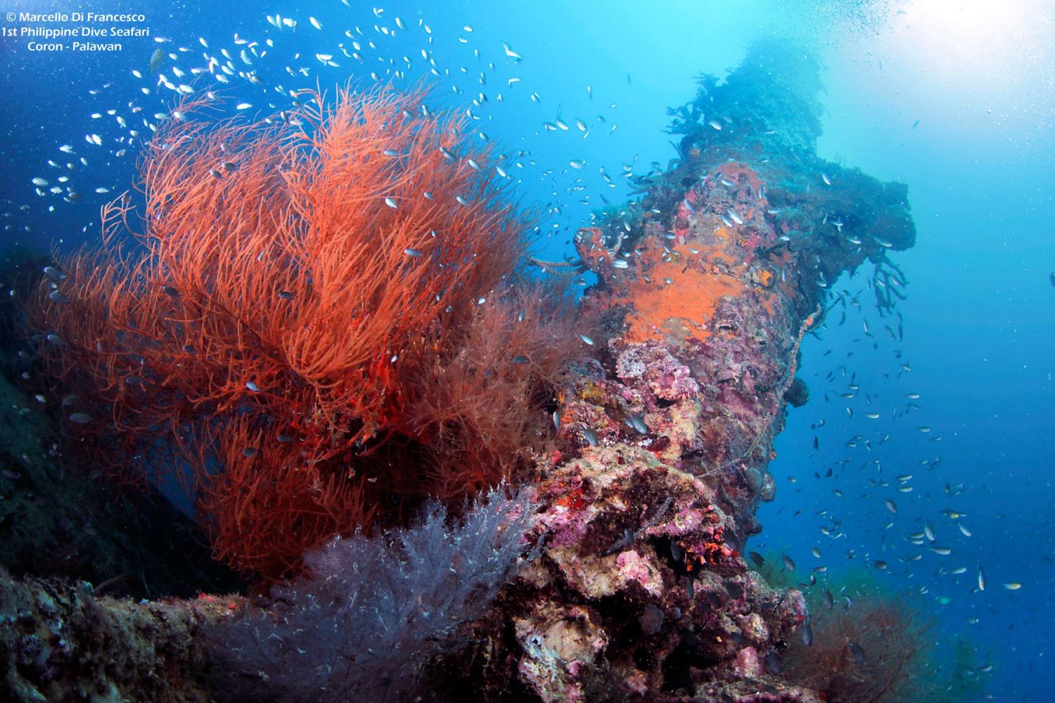 Coron Reefs and Wrecks