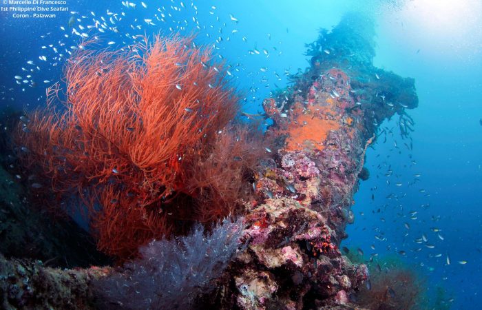 Coron Reefs and Wrecks