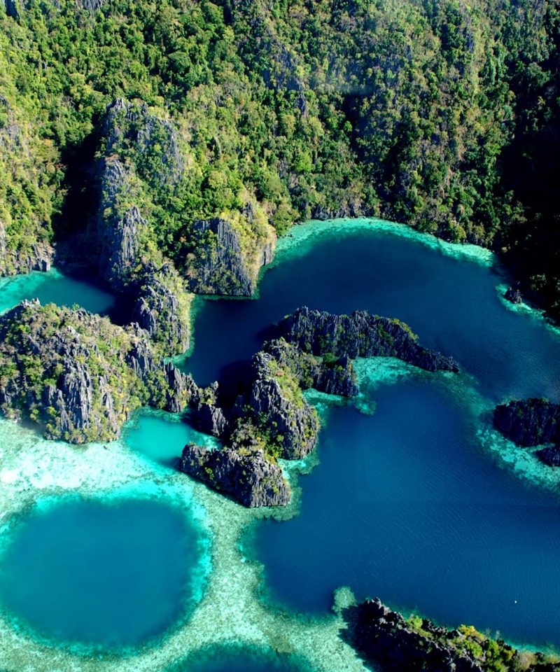 Twin Lagoon Ecotours