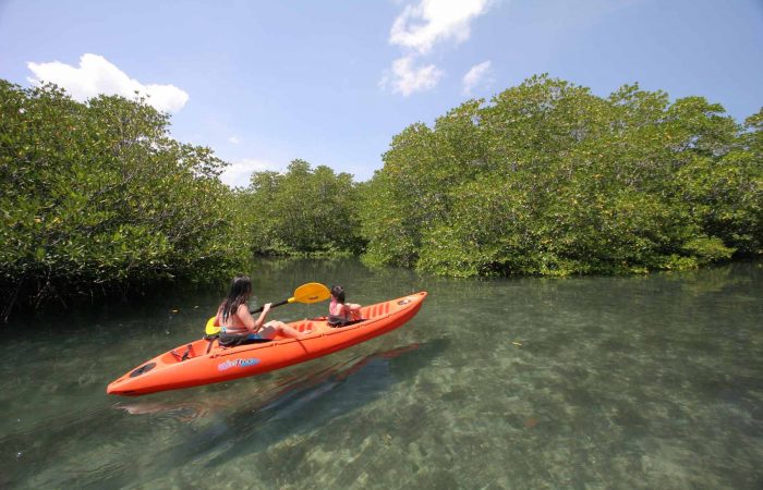 Coron Paddling Tour