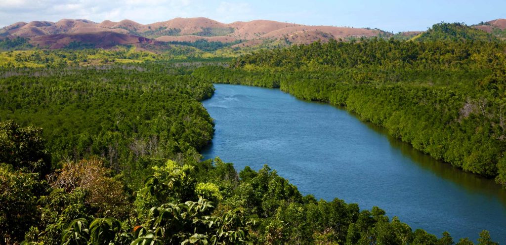 Kayaking Coron Tour